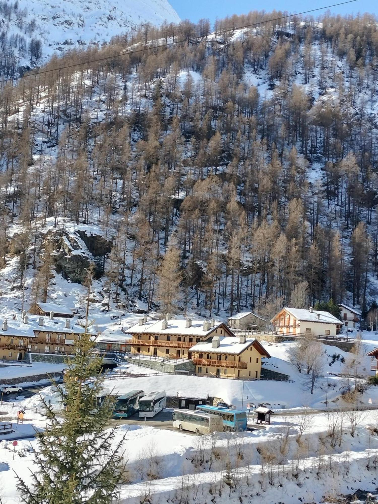 Punta Vittoria Sub 14 - Residence Anderbatt Gressoney - 3 Locali - Cir N 0010 Staval Esterno foto